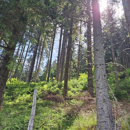 Naturpark Bauernhof Sperl Villa Mariahof Dış mekan fotoğraf