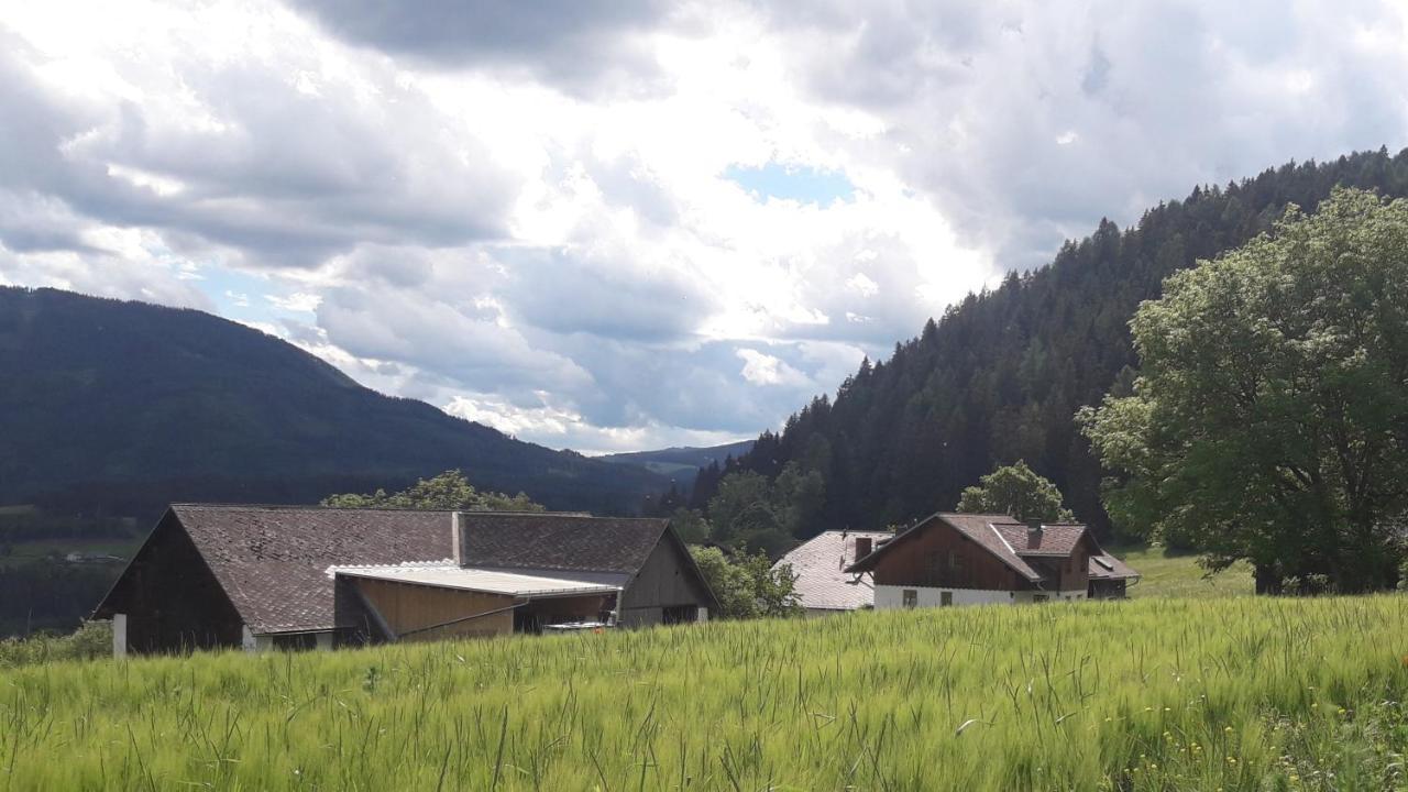 Naturpark Bauernhof Sperl Villa Mariahof Dış mekan fotoğraf