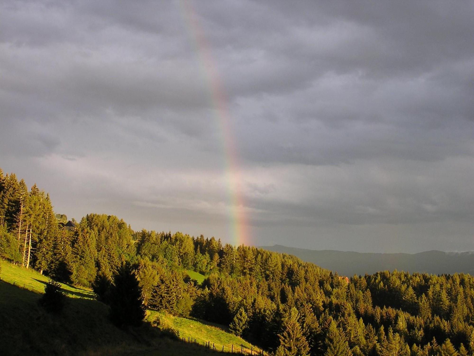 Naturpark Bauernhof Sperl Villa Mariahof Dış mekan fotoğraf