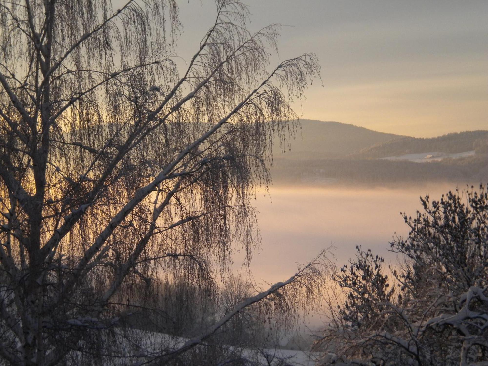 Naturpark Bauernhof Sperl Villa Mariahof Dış mekan fotoğraf