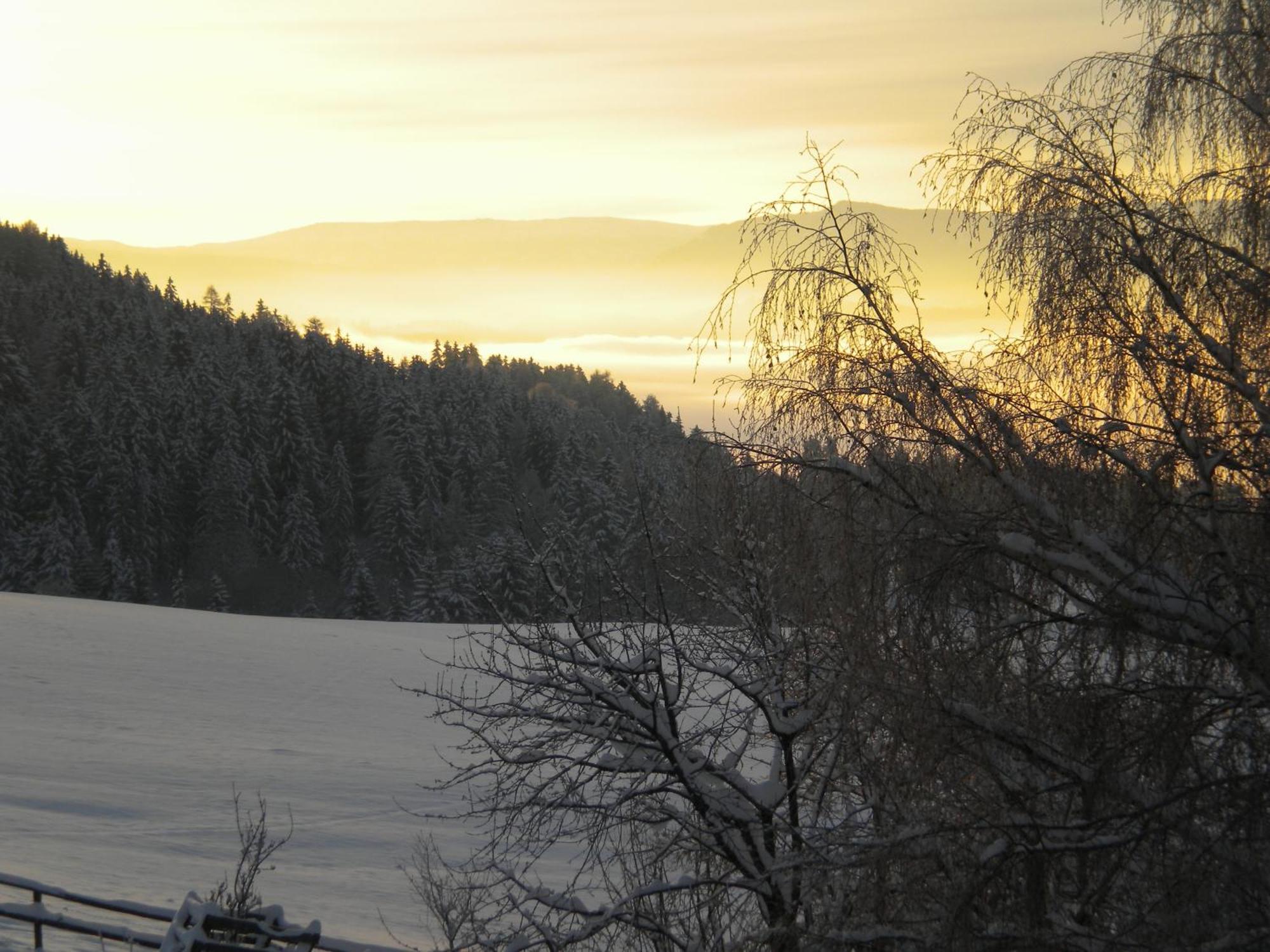 Naturpark Bauernhof Sperl Villa Mariahof Dış mekan fotoğraf