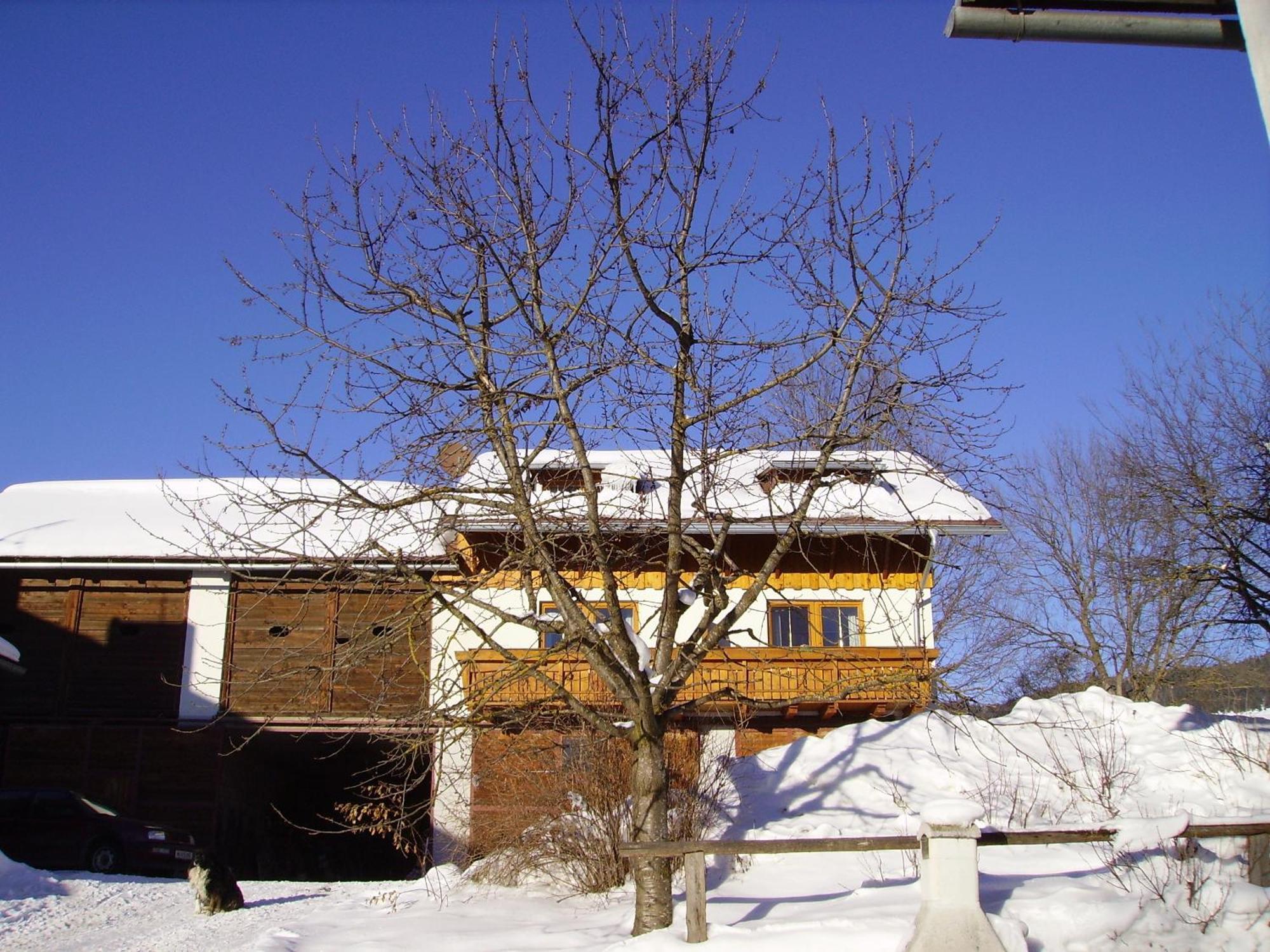 Naturpark Bauernhof Sperl Villa Mariahof Dış mekan fotoğraf