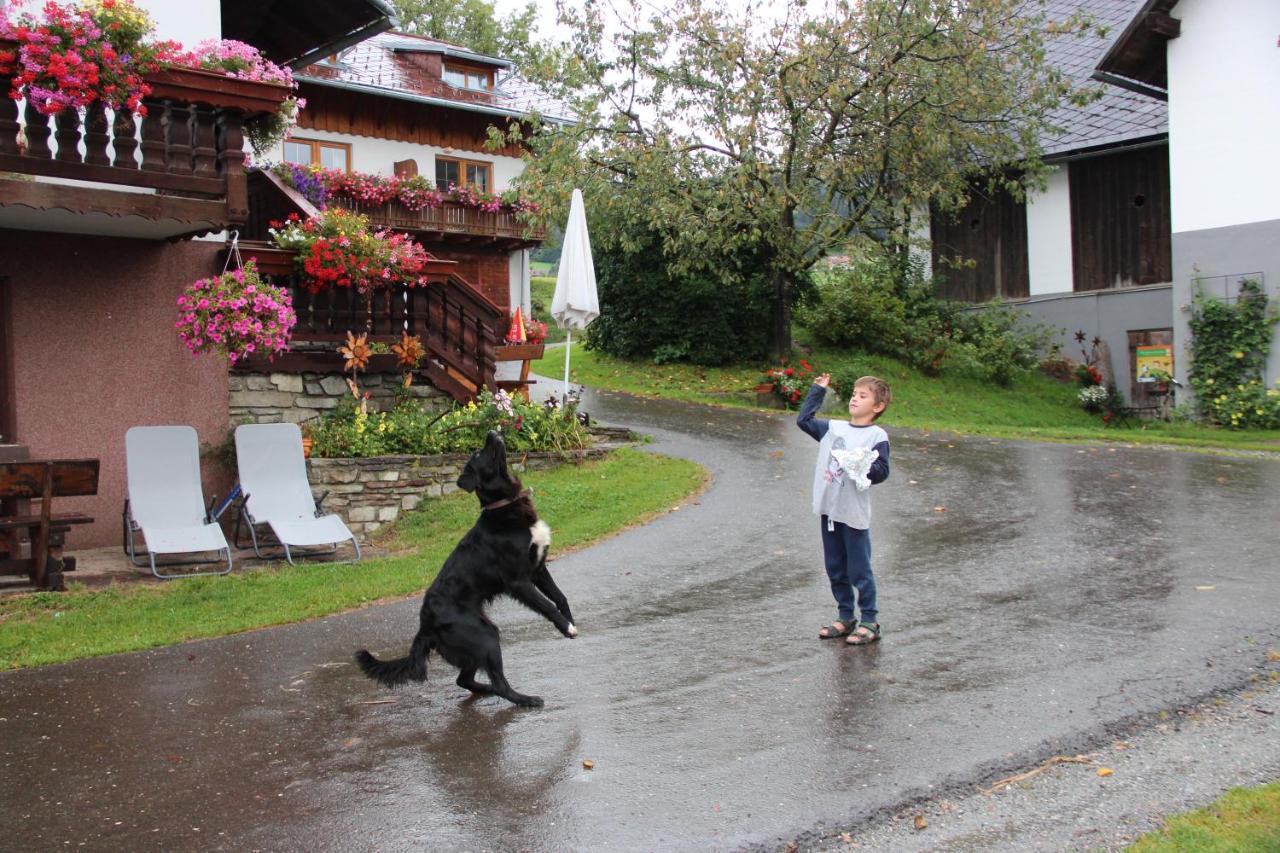 Naturpark Bauernhof Sperl Villa Mariahof Dış mekan fotoğraf