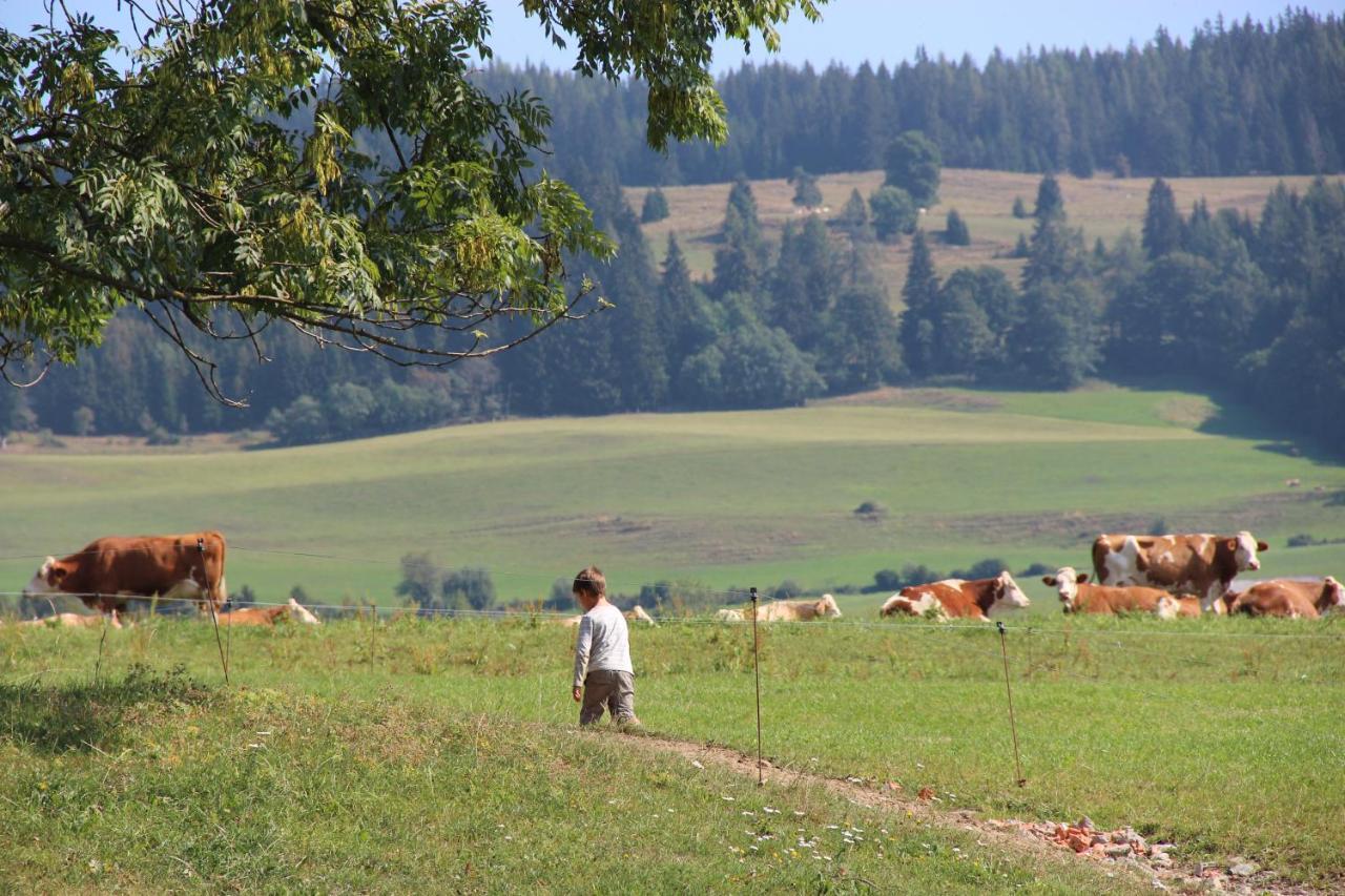 Naturpark Bauernhof Sperl Villa Mariahof Dış mekan fotoğraf