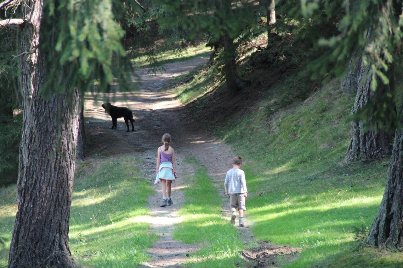 Naturpark Bauernhof Sperl Villa Mariahof Dış mekan fotoğraf